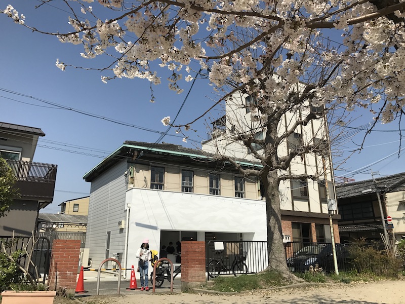 hanami, coffee, walden